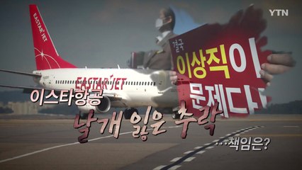 [영상] 이스타항공 날개 잃은 추락...책임은? / YTN