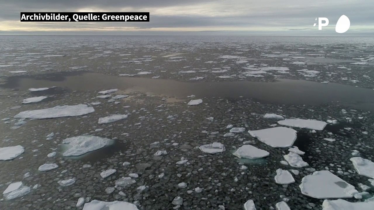 Meereis in der Arktis schmilzt überdurchschnittlich stark