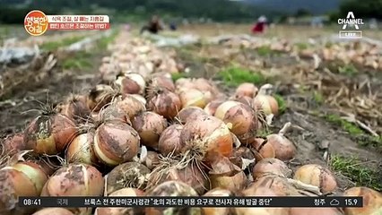 기름진 음식을 즐기는 중국인들! 그러나 내장지방이 없는 이유는?