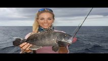 NEW YORK STYLE Black Sea Bass Catch and Cook!