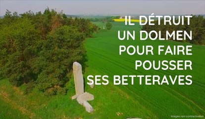 Il détruit un dolmen pour faire pousser ses betteraves