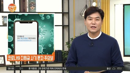 '긴급재난지원금 사칭' 해킹 사기 문자 급증