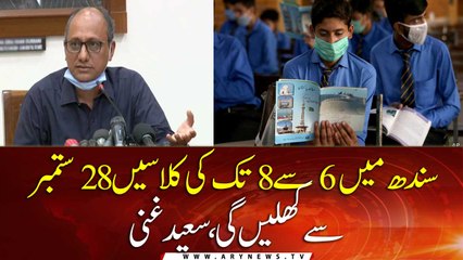 Secondary classes in Sindh to begin from Sept 28: Saeed Ghani
