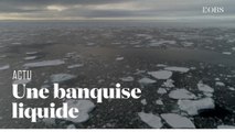 La banquise d'été de l'Arctique filmée à son deuxième plus bas niveau jamais observé