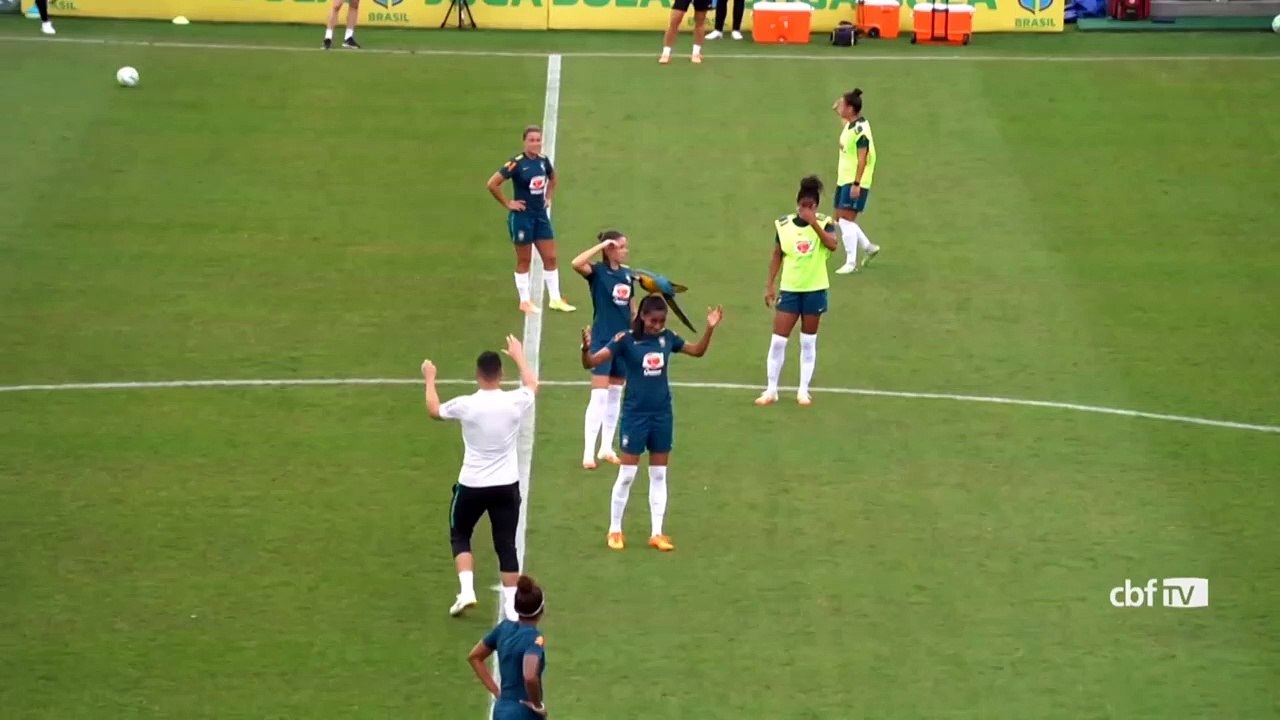 ببغاء يوقف تمارين منتخب البرازيل لكرة القدم للسيدات