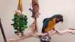 Stainless Steel Parrot Play Stand for Macaws