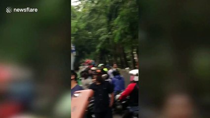 Stranded puppy rescued from fourth-floor narrow ledge of apartment block in Indonesia