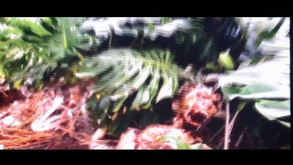 UFO Sightings World Exclusive! Alien Body Shot by Colombian Farmer! Warning Very Graphic!