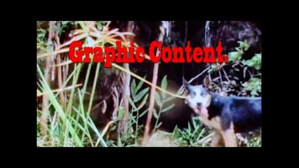 UFO Sightings 2012 Watch It now Before it's SHUT DOWN!