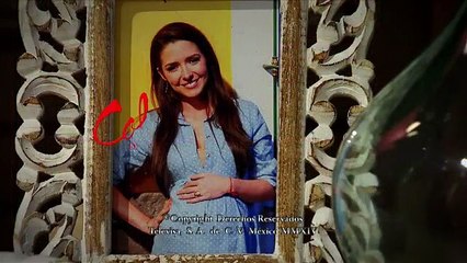 El color de la pasion 27