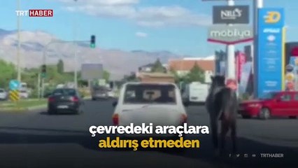 Otomobile bağladıkları atı kilometrelerce koşturdular