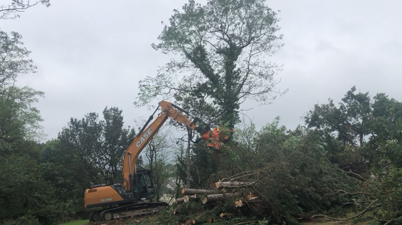 Abattage d’une cinquantaine d’arbres