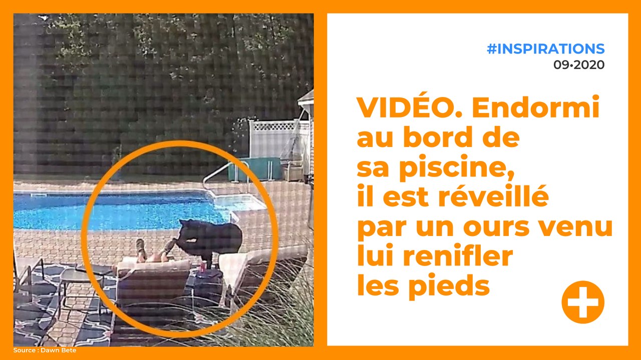 VIDÉO. Endormi au bord de sa piscine, il est réveillé par un ours venu lui renifler les pieds