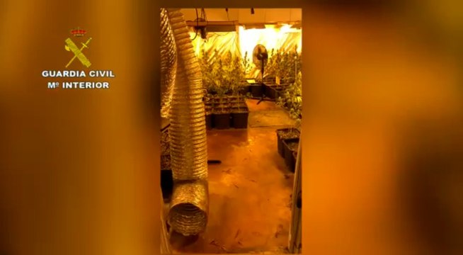 Desarticulada en Barcelona y Tarragona una organización dedicada al tráfico de marihuana