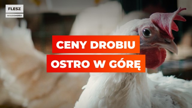 Ceny drobiu idą w górę