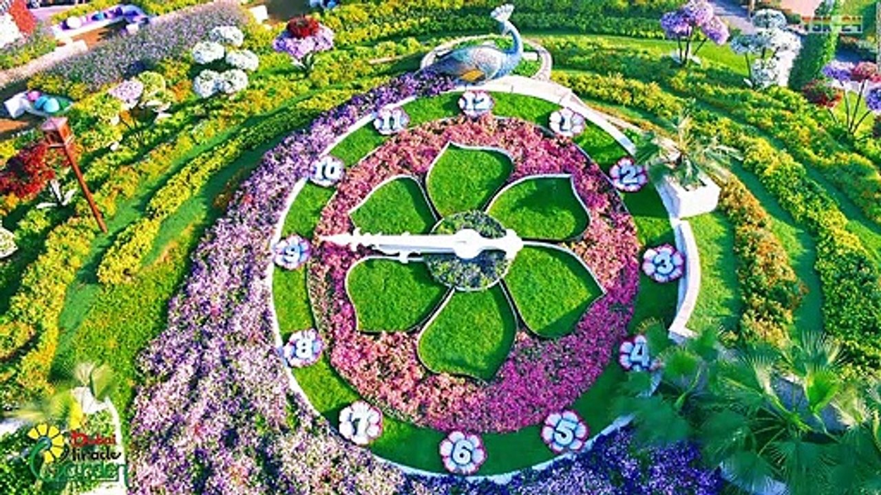 WOW! Dubai Miracle Garden
