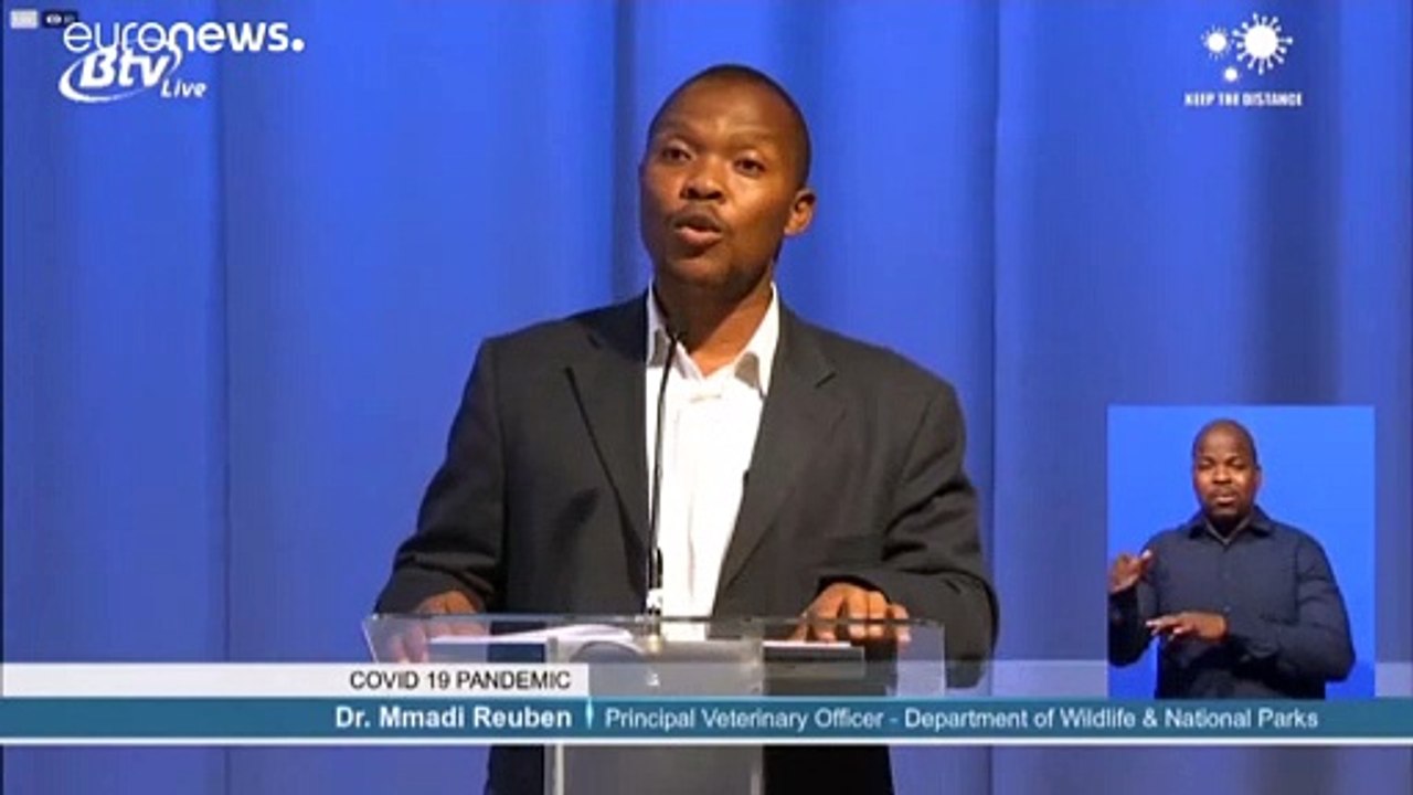 Mysteriöses Elefantensterben in Botswana