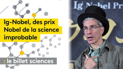 Les "Ig-Nobel 2020", des prix Nobel de la science improbable
