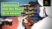 Burkina Faso : APISAVANA, miel des fleurs de la savane
