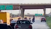 Protester arrested for riding horse along highway in Chicago