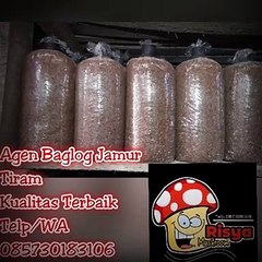 720_30_6.67_Sep132Jual Bibit Jamur Tiram Merah, telp. 0857 3018 3106, UNGGUL..!!!020_07