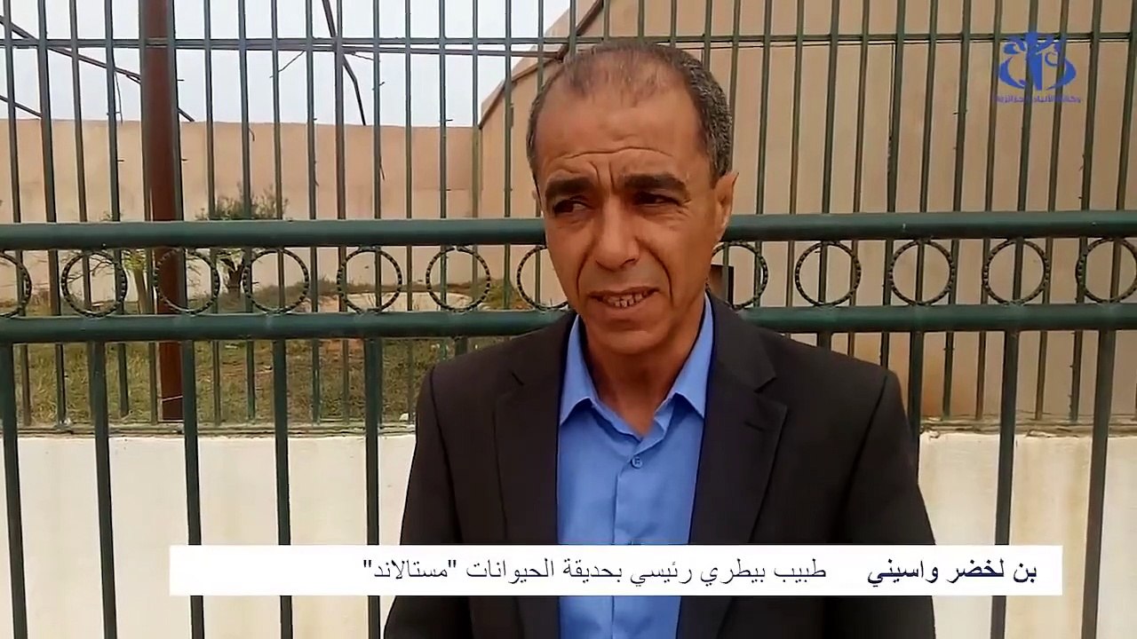 مستغانم- ولادة شبل أبيض نادر بحديقة مستالاند_HD