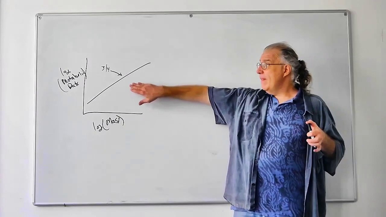 Fumdamentals of Ecology 4.5: A Bit about Different Theories