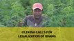 Olekina calls for legalization of bhang