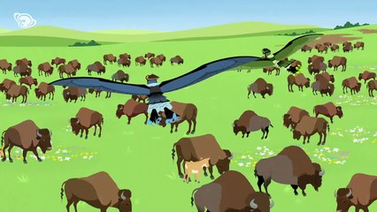 On pasturen els bisons - Els germans kratt en català