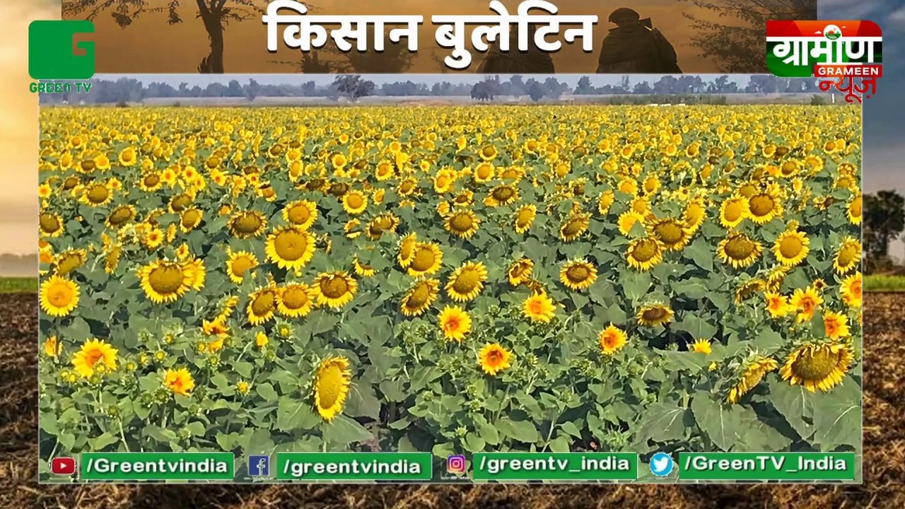 Kisan Bill पर विपक्षी आरोपों पर सरकार का करारा जवाब, एक माह पहले बढ़ाए MSP | Kisan Bulletin : Grameen News