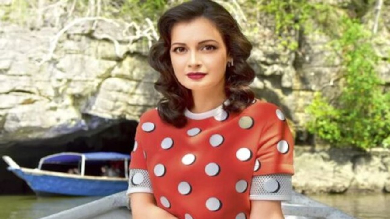 Dia Mirza denies drug charges against her