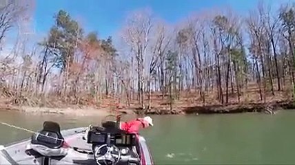 los peores fallos del mundo...