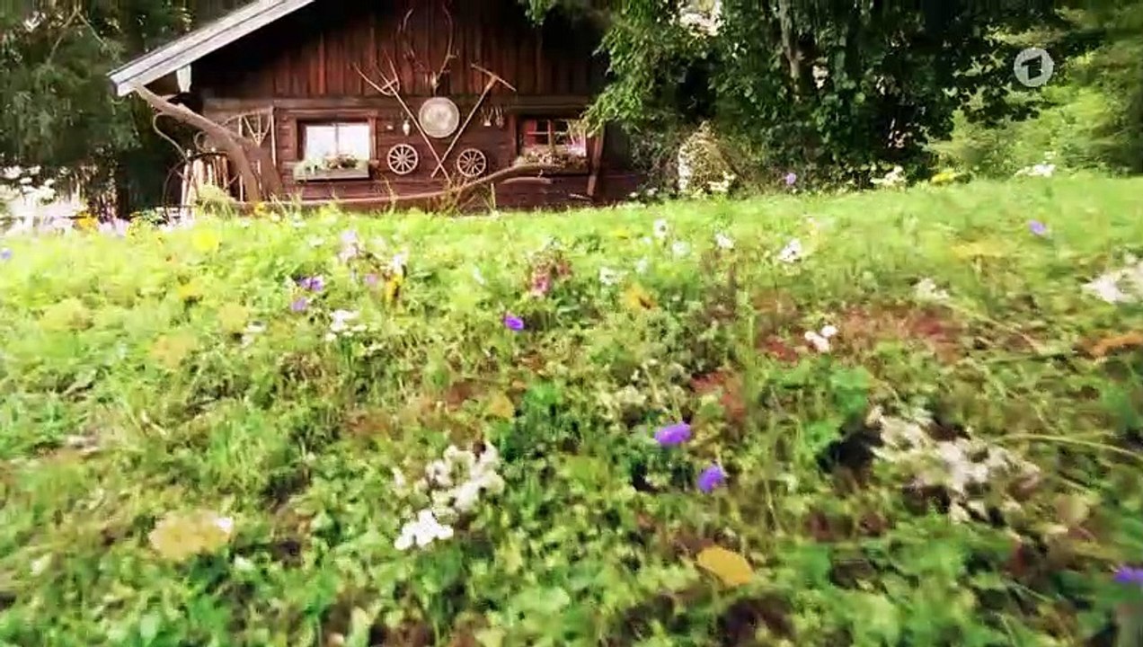 Sturm der Liebe Folge 3453 Ein Dämpfer