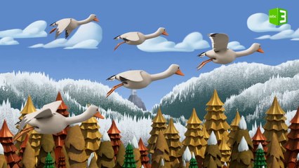 ماذا تعرف عن هجرة الطيور؟ 