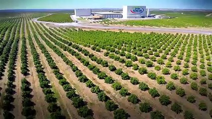 Don Simón, una planta única, innovadora y pionera a nivel internacional