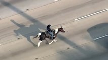 Protesta a caballo en una autopista de Chicago en hora punta para denunciar las necesidades de los niños
