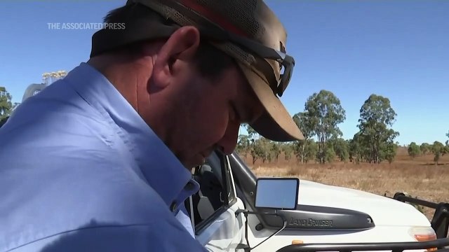 Cientos de granjeros usan drones para hacer mejorar sus operaciones