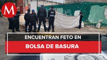 Policías hallan un feto en la colonia Doctores