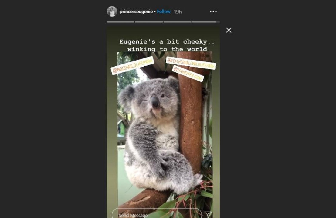 Prinzessin Eugenie ist die Namenspatronin eines Koalababys