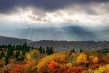 What to Expect for Fall Foliage in Asheville This Year