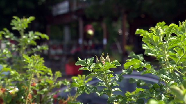 L’Islet pénalisée par le palier orange dans Chaudière-Appalaches