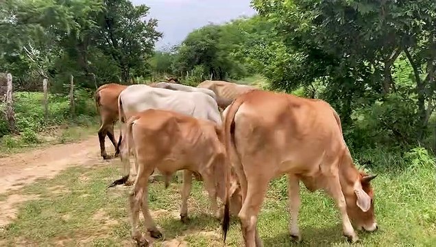 Escapar: A Surf Trip to Mexico During Strange Times