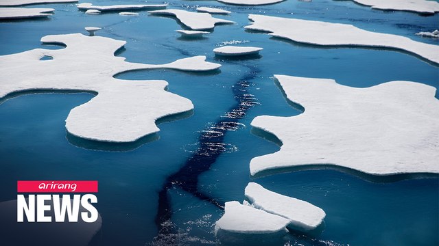 Arctic sea ice melts to second lowest level on record