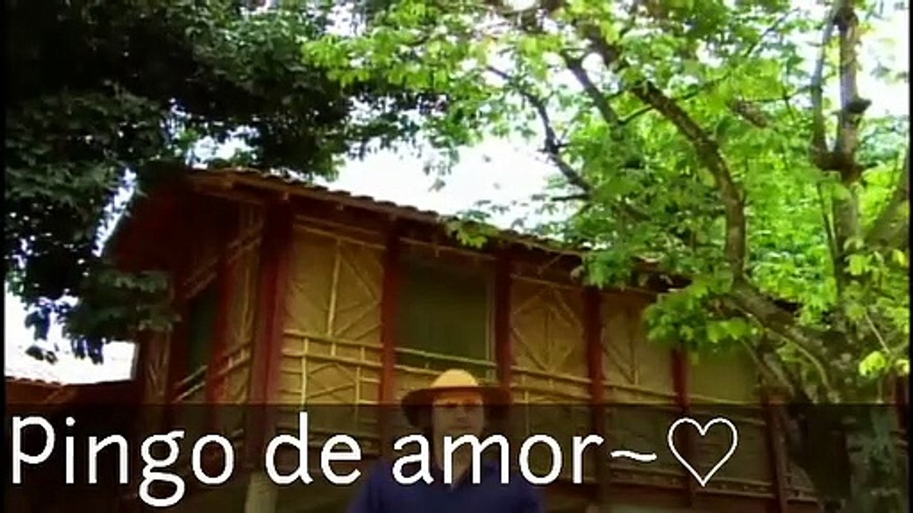 A história de Estela e Solano {parte 8}