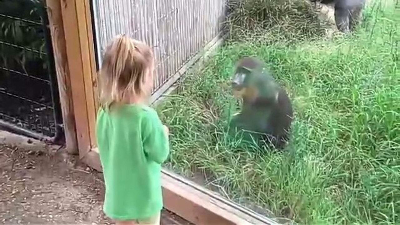 Funniest_Baby_Playing_With_Animals||Funny_Baby_2020
