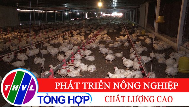 Chuyện hôm nay: Phát triển nông nghiệp chất lượng cao