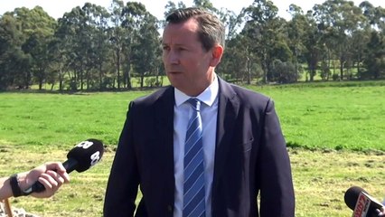 WA Premier Mark McGowan sues businessman Clive Palmer