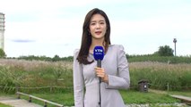 [날씨] 내일 구름 많고 선선...영동 120mm↑ 많은 비 / YTN