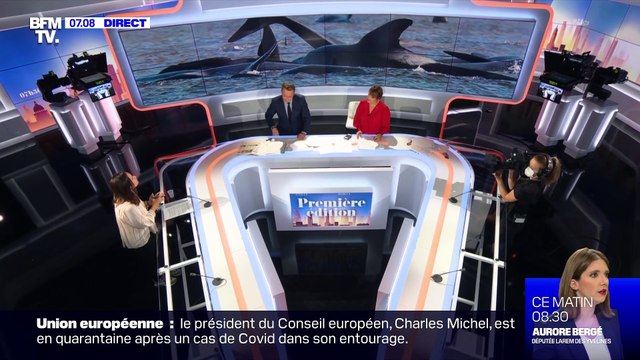 470 cétacés piégés - 23/09