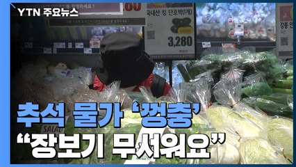 장마·태풍에 껑충 뛴 추석 물가..."장보기 무서워" / YTN